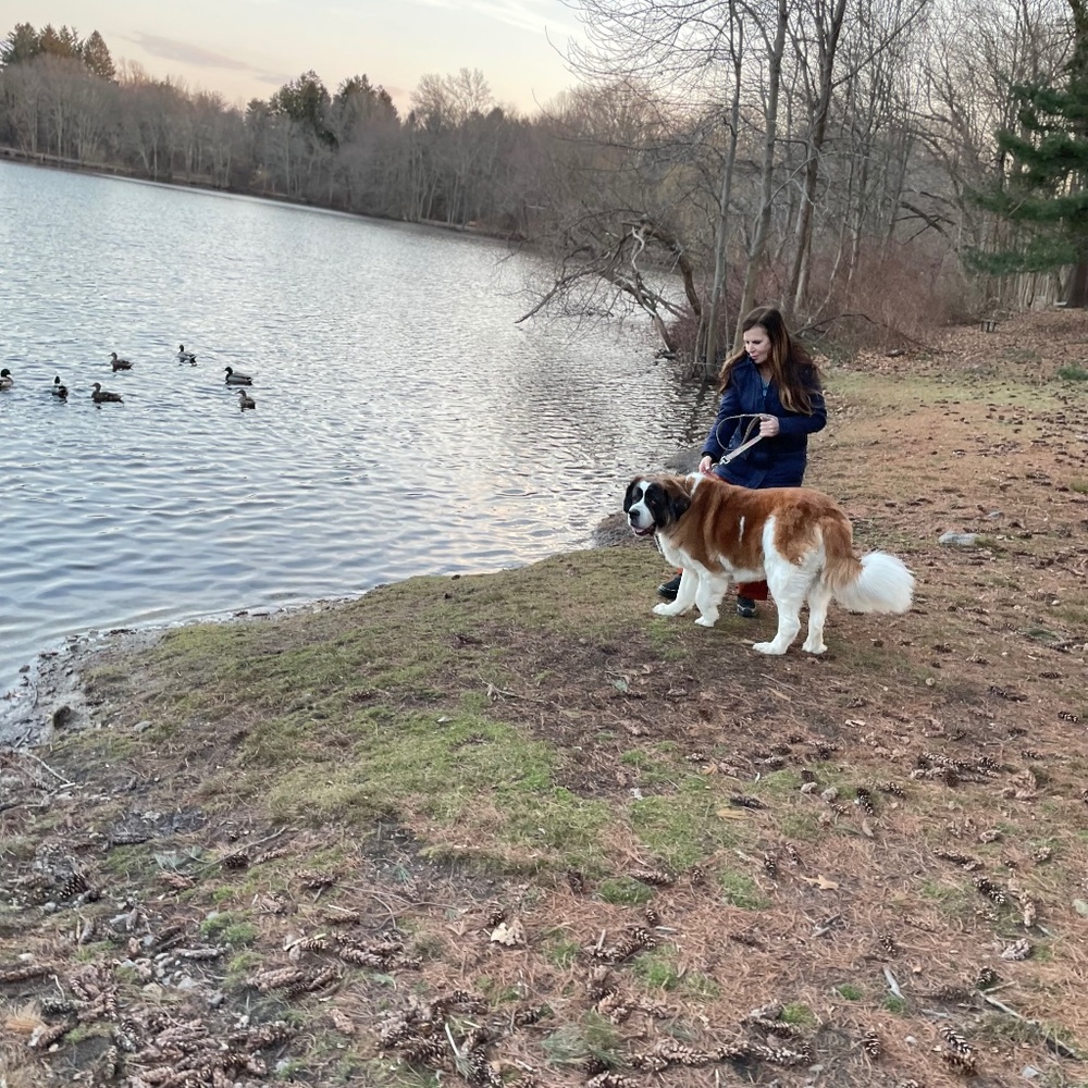 I want to have a yard sale of lots! Nearby and fun! Call 781. 929.0762